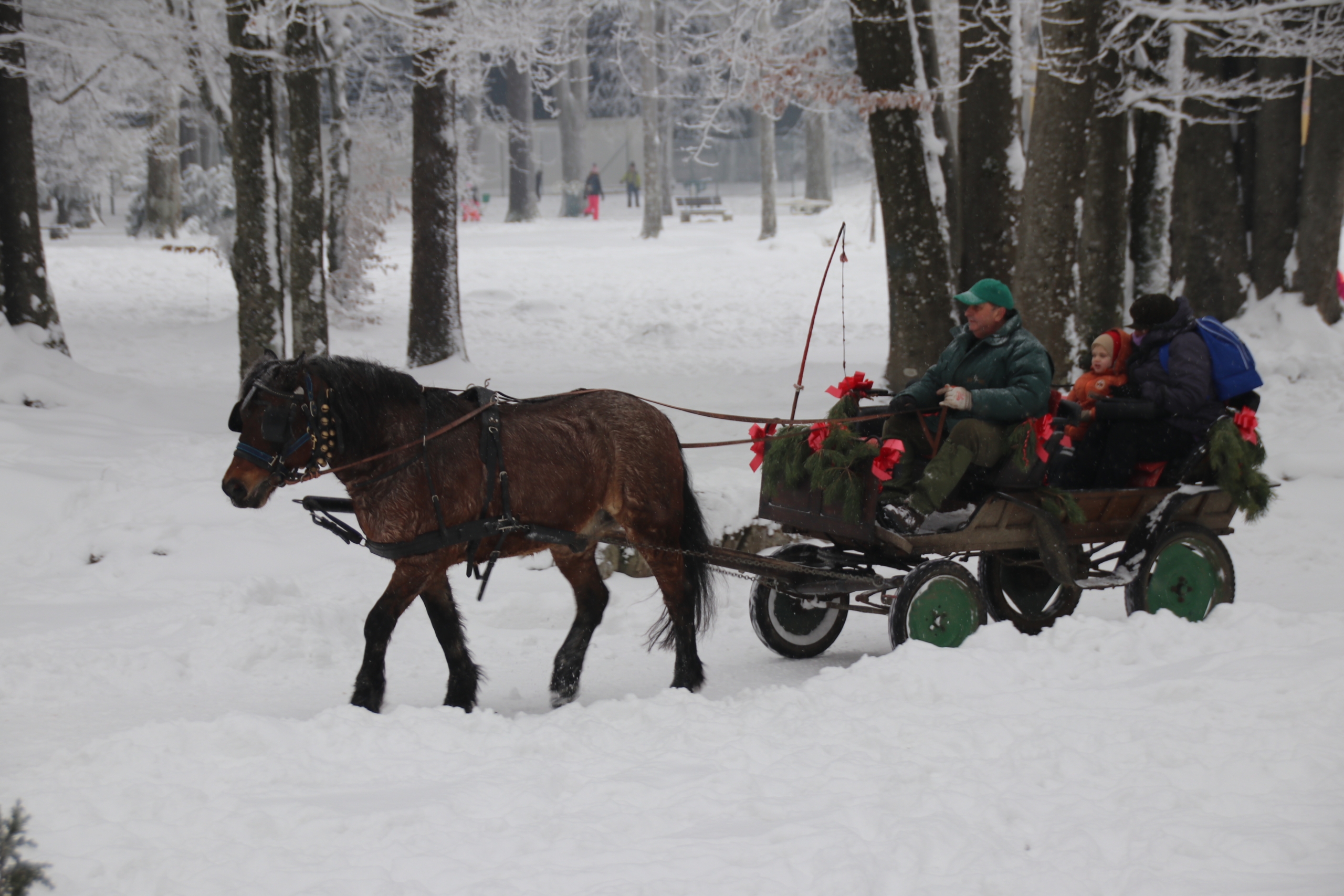 delnice advent gorski kotar (8)