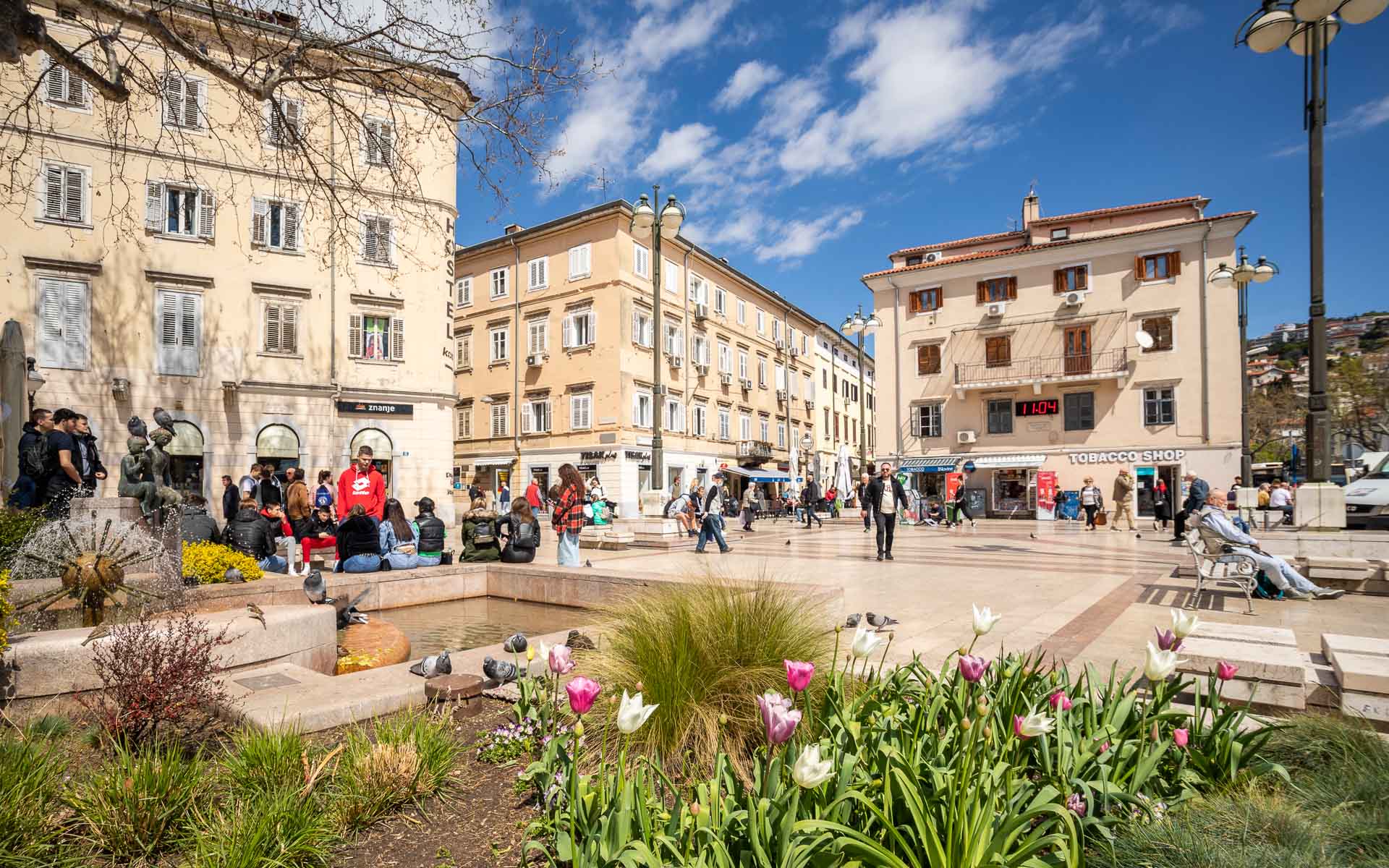 Ilustrativna cvijeće Jelačićev trg-1 Ilustrativna cvijeće Jelačićev trg-1