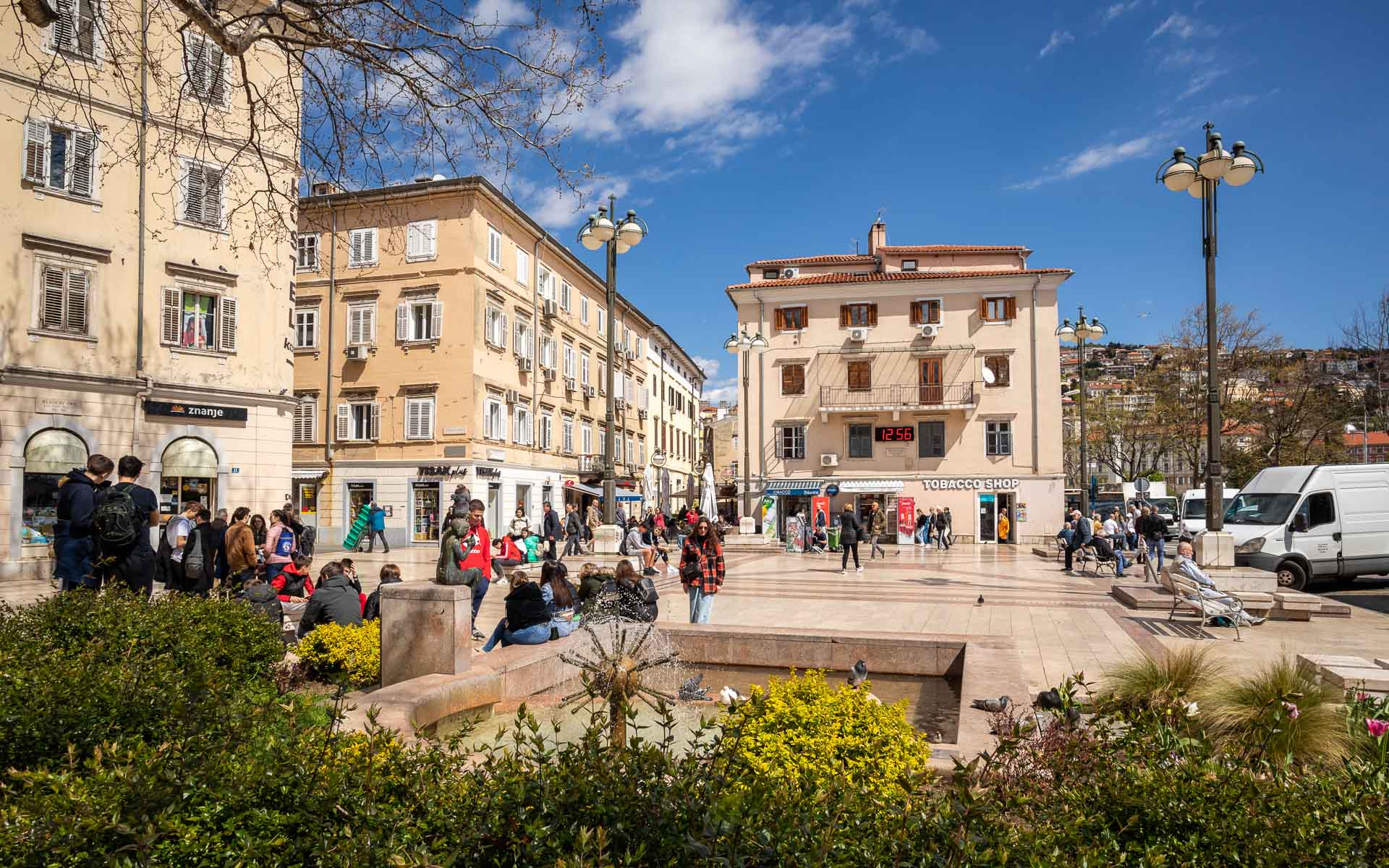 Ilustrativna cvijeće Jelačićev trg-2 Ilustrativna cvijeće Jelačićev trg-2