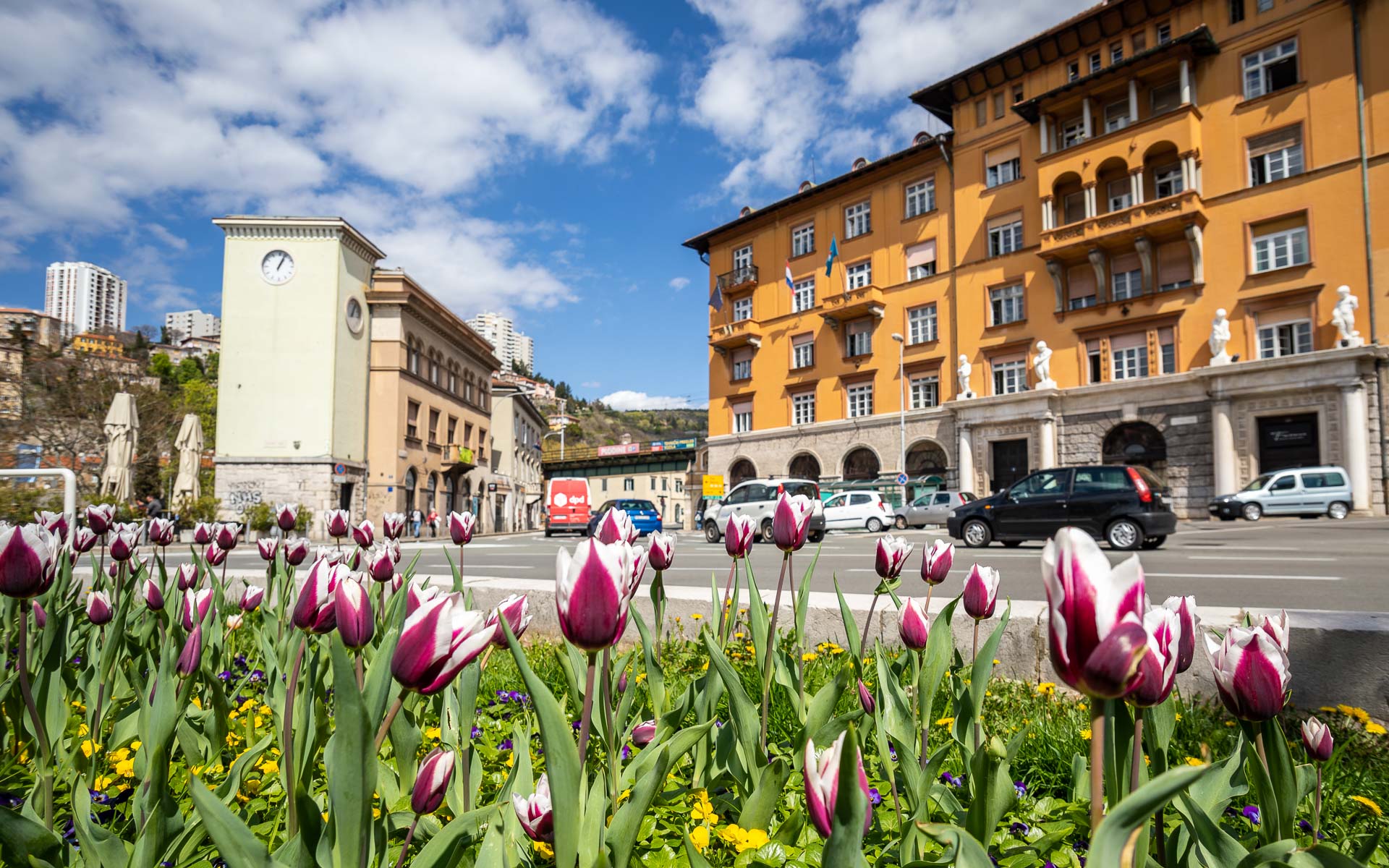 Ilustrativna cvijeće Rijeka-1 Ilustrativna cvijeće Rijeka-1