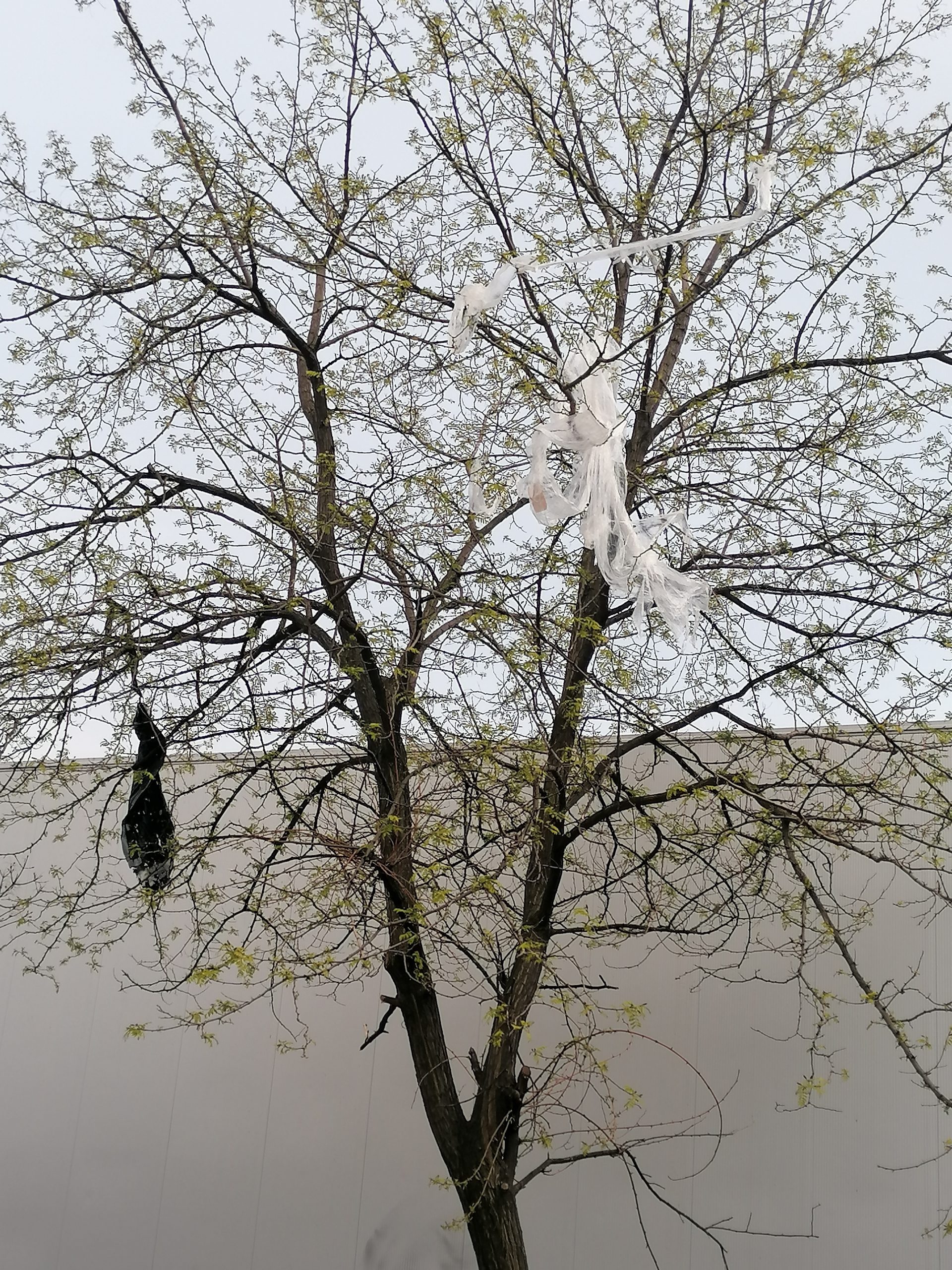 NEVEN ŠANTIĆ FOTKE SMEĆA Škurinje 2