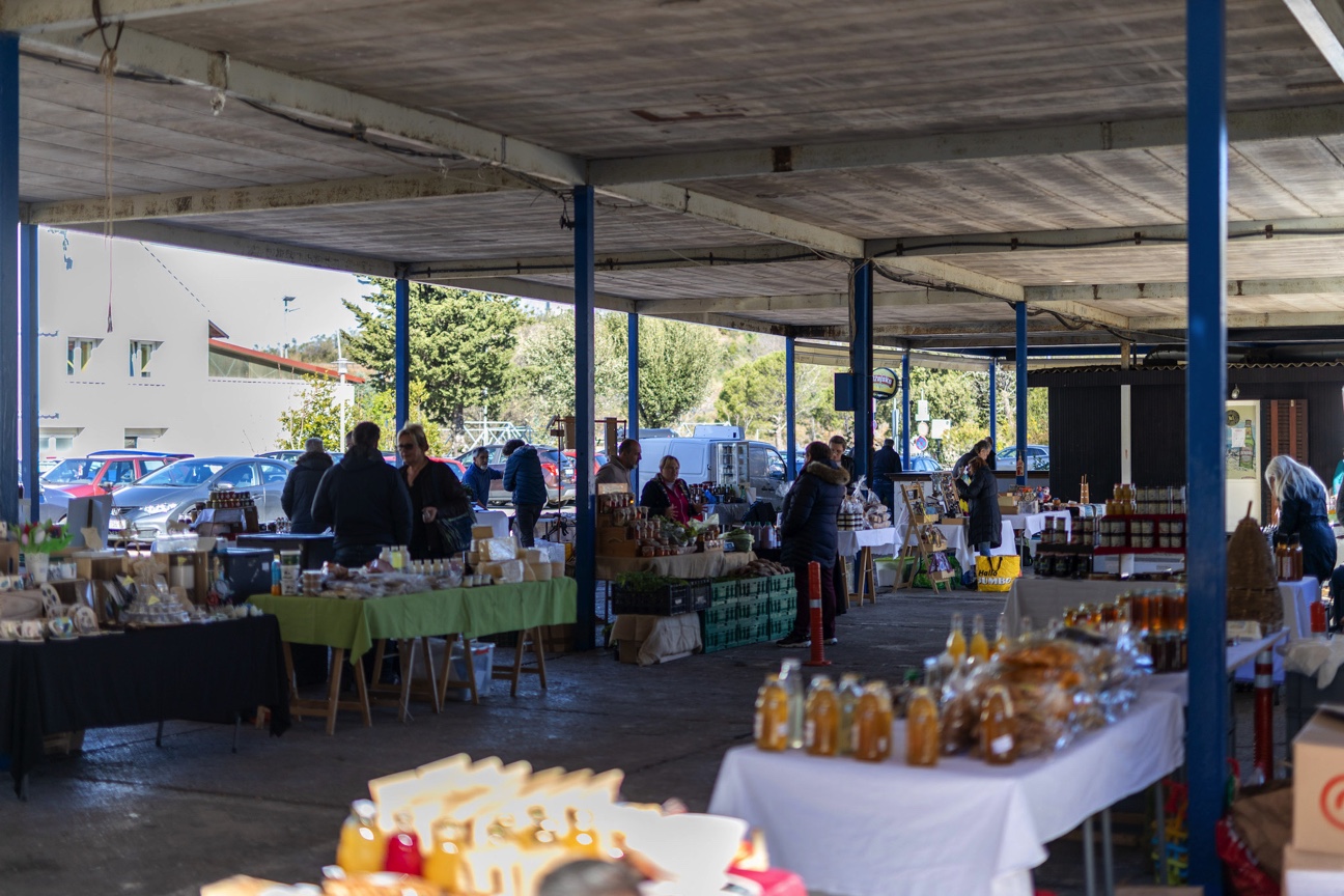 Zelena-Kostrena Zelena-Kostrena