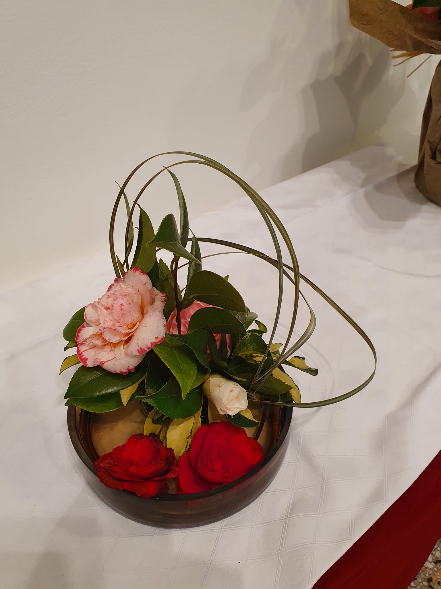 kamelija opatija 2022 fejs 13 kamelija opatija 2022 fejs 13