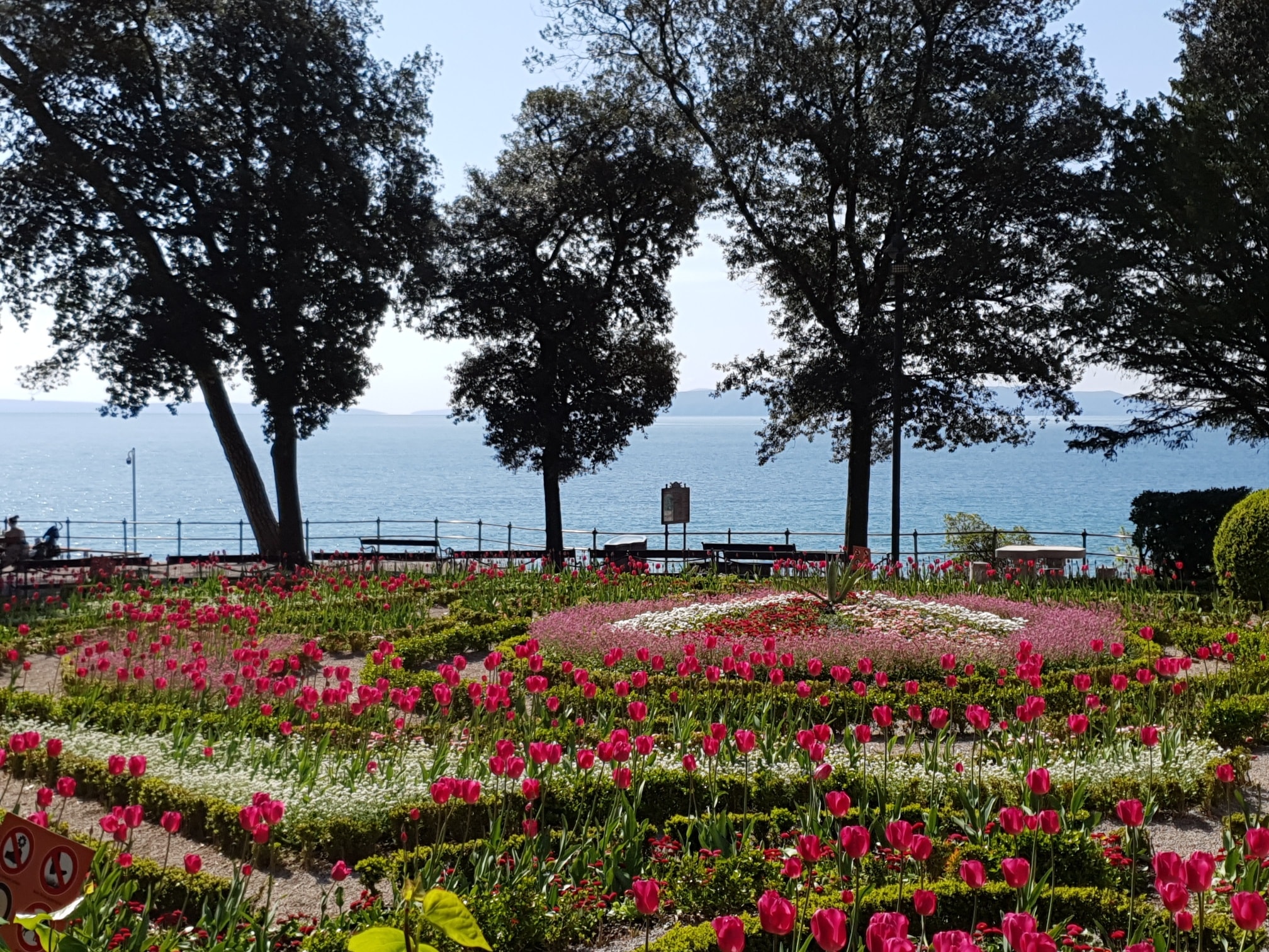 kamelija opatija 2022 fejs 14 kamelija opatija 2022 fejs 14