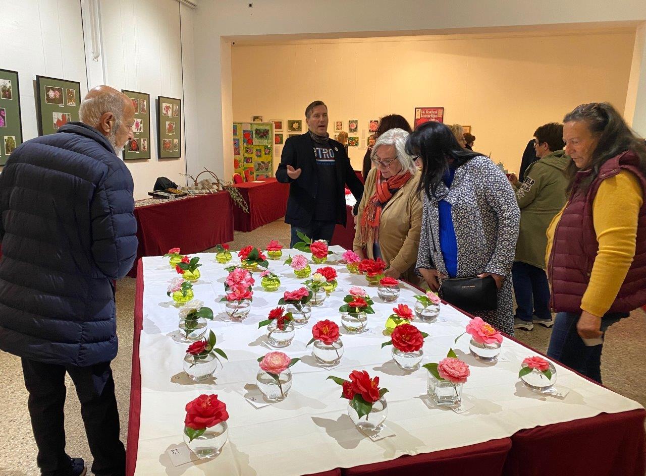 kamelija opatija 2022 fejs 16 kamelija opatija 2022 fejs 16