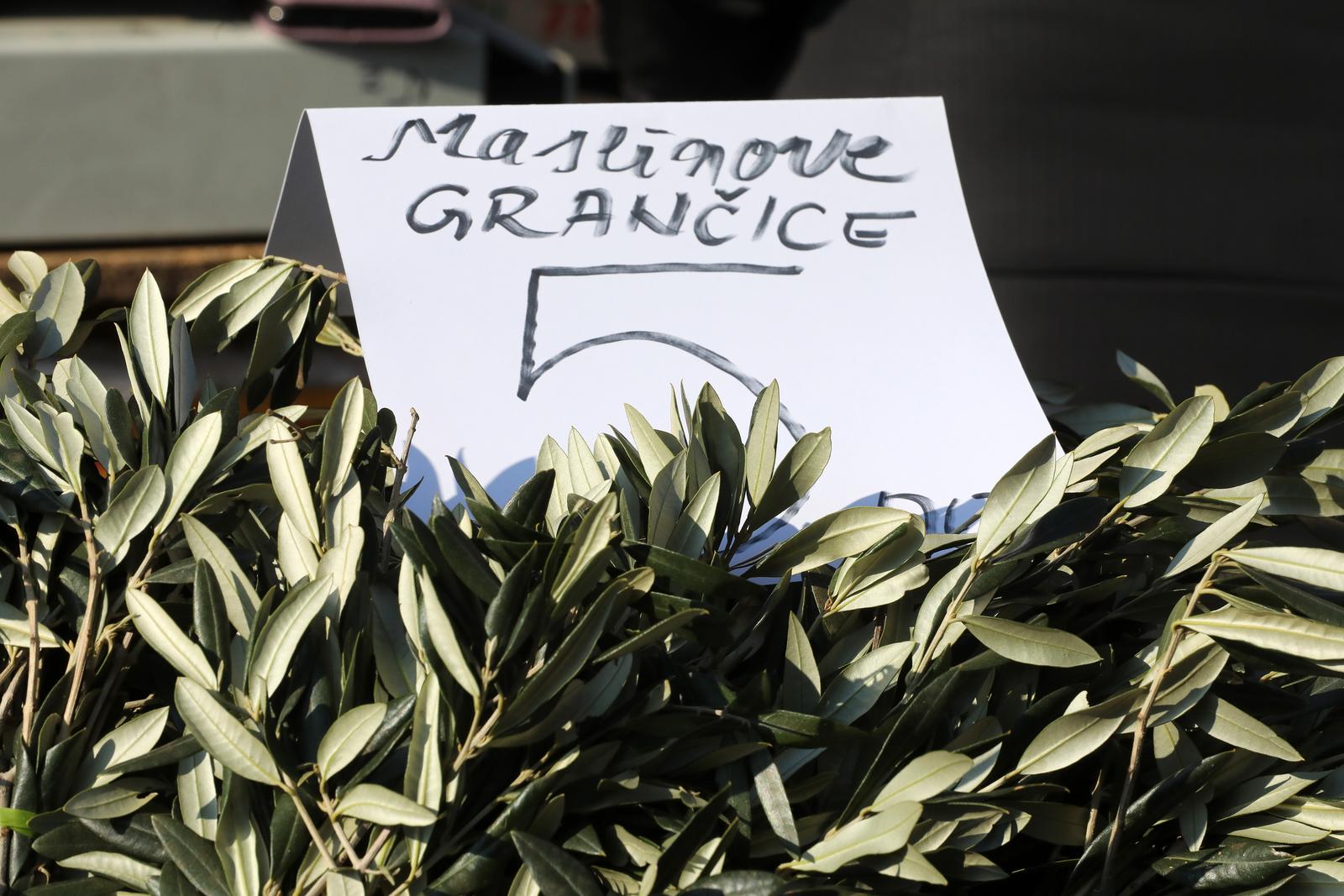 Rijeka: Na gradskog tržnici započela je prodaja maslinovih grana Rijeka: Na gradskog tržnici započela je prodaja maslinovih grana