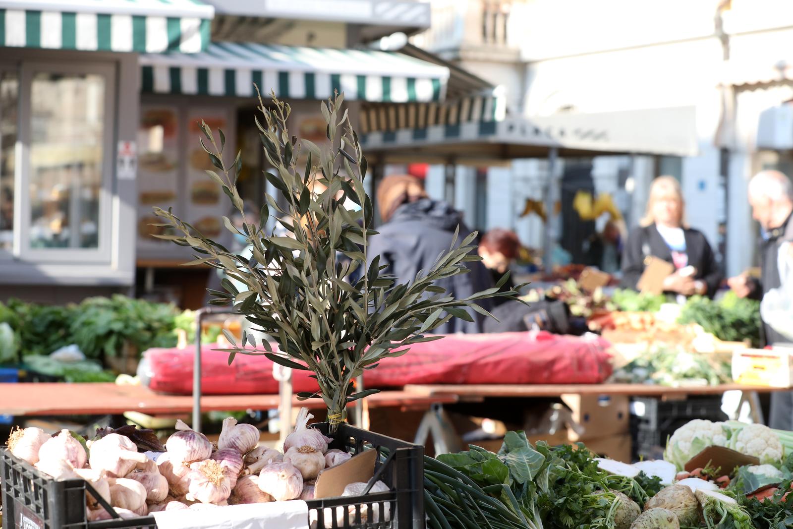 Rijeka: Na gradskog tržnici započela je prodaja maslinovih grana Rijeka: Na gradskog tržnici započela je prodaja maslinovih grana