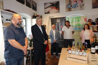 KASETICA pgz promocija kuca vina katunar (8)