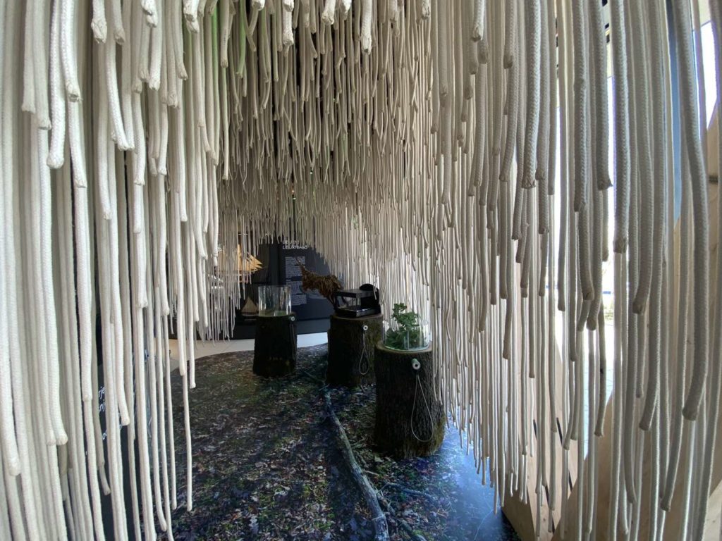 MALINSKa pgz interpretacijski centar (5) MALINSKa pgz interpretacijski centar (5)