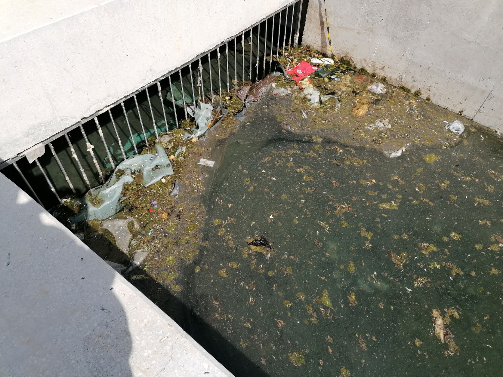 POTOK BRAJDA KVAR KULTURE 12