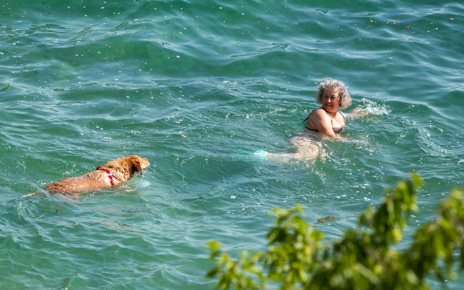 Plaža Preluk-4 Plaža Preluk-4