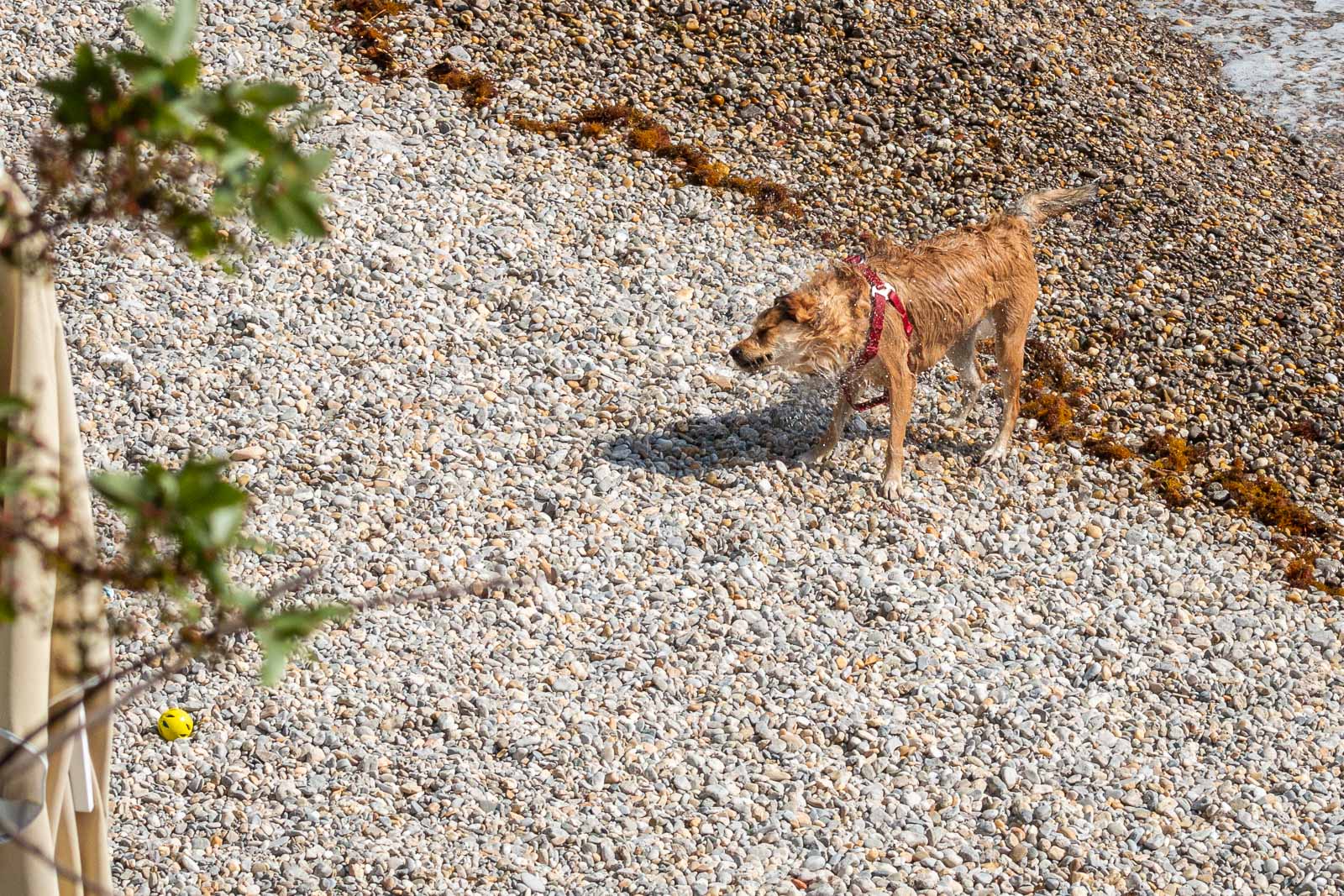 Plaža Preluk-5 Plaža Preluk-5