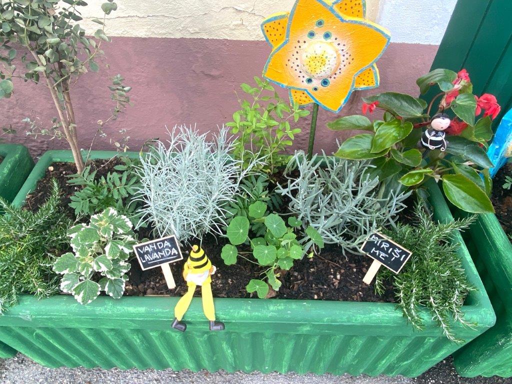 dnd opatija kolibrici senzorni vrt (4)