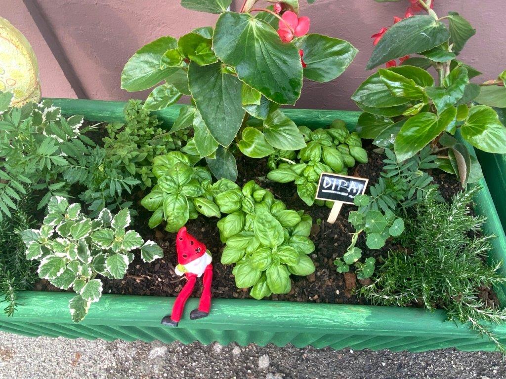 dnd opatija kolibrici senzorni vrt (7)