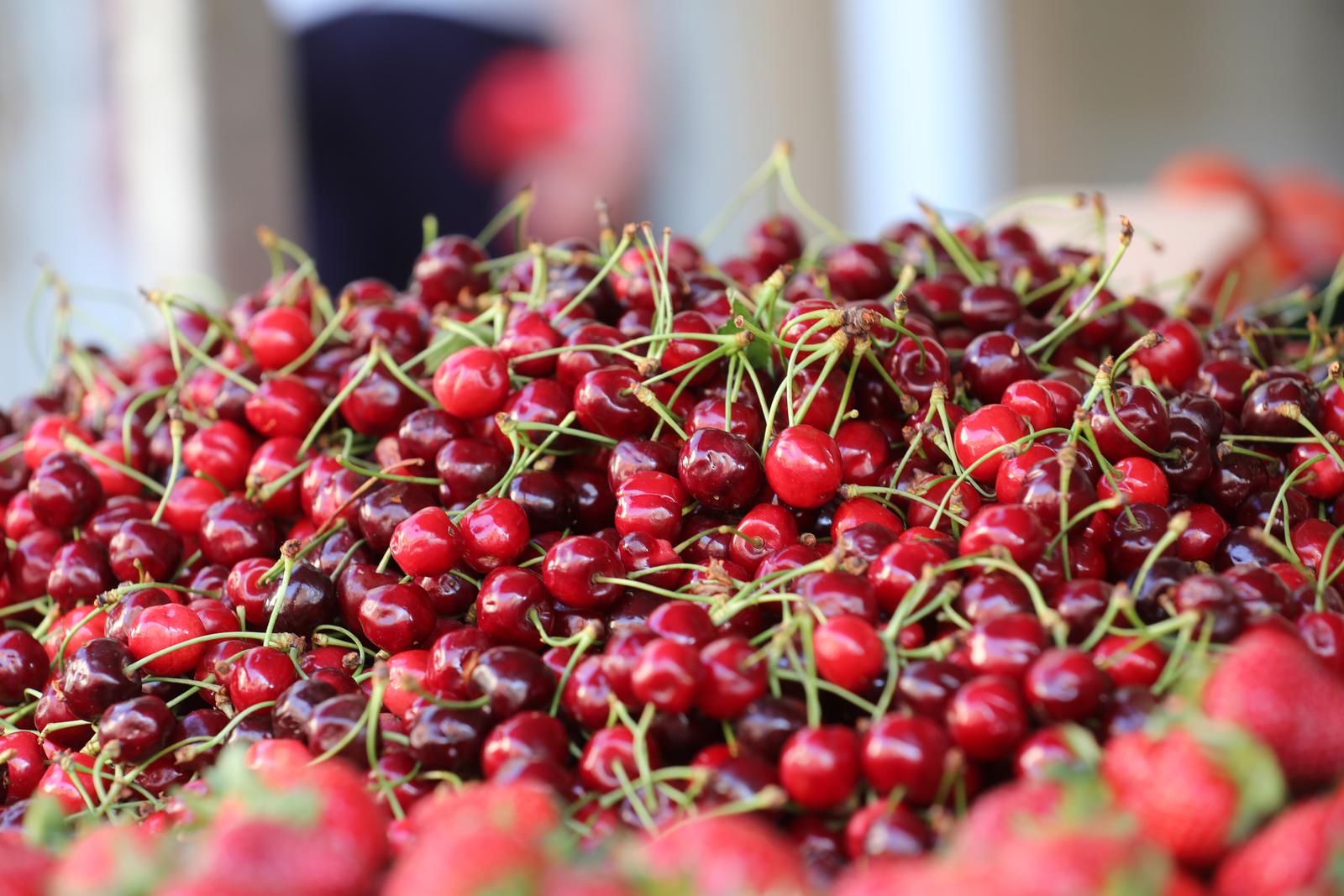 Rijeka: Prve ovogodišnje trešnje na tržnici prodaju se po 36 kuna za kilogram Rijeka: Prve ovogodišnje trešnje na tržnici prodaju se po 36 kuna za kilogram