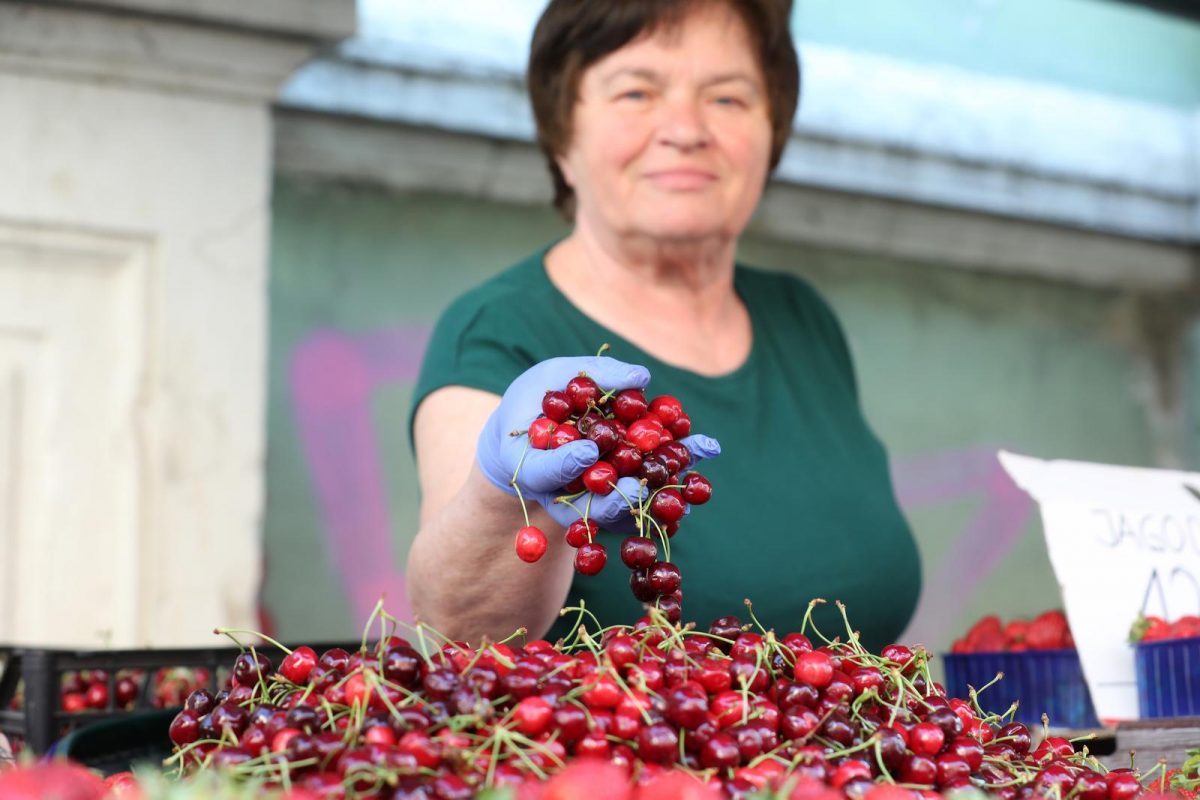 Rijeka: Prve ovogodišnje trešnje na tržnici prodaju se po 36 kuna za kilogram