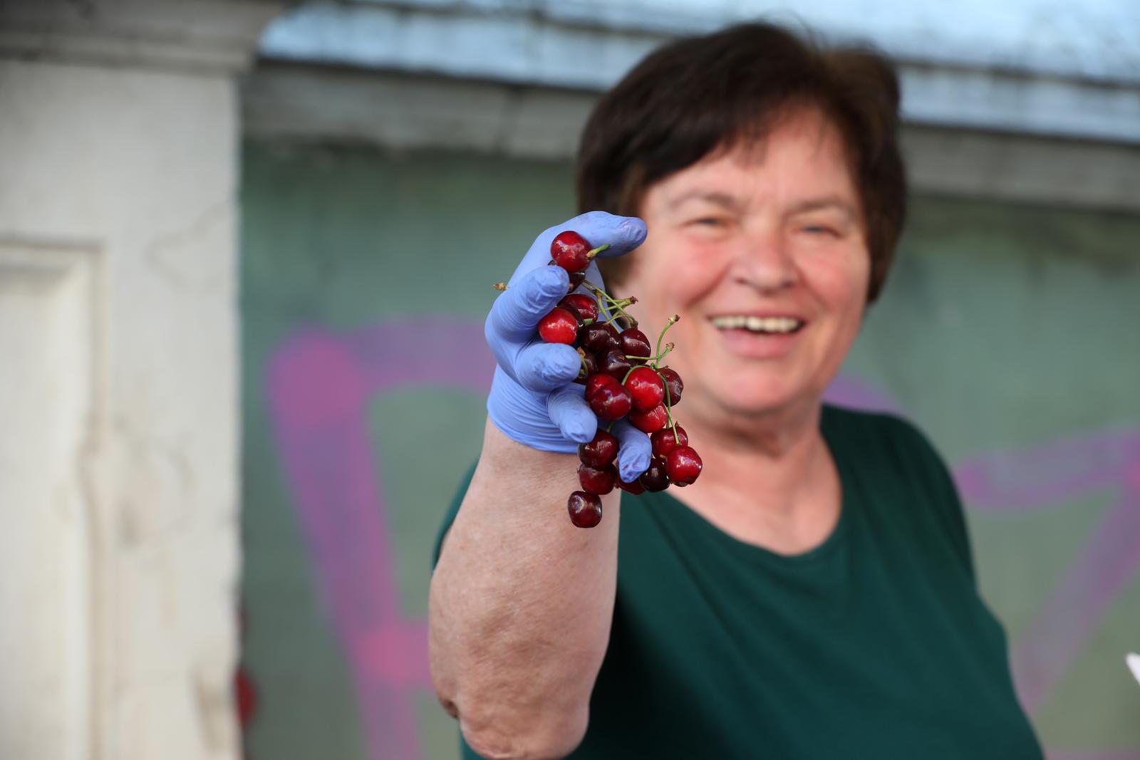 Rijeka: Prve ovogodišnje trešnje na tržnici prodaju se po 36 kuna za kilogram Rijeka: Prve ovogodišnje trešnje na tržnici prodaju se po 36 kuna za kilogram