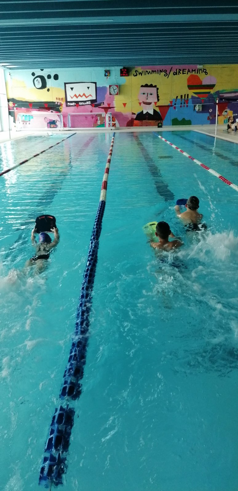 viskovo pliva viskovo pliva