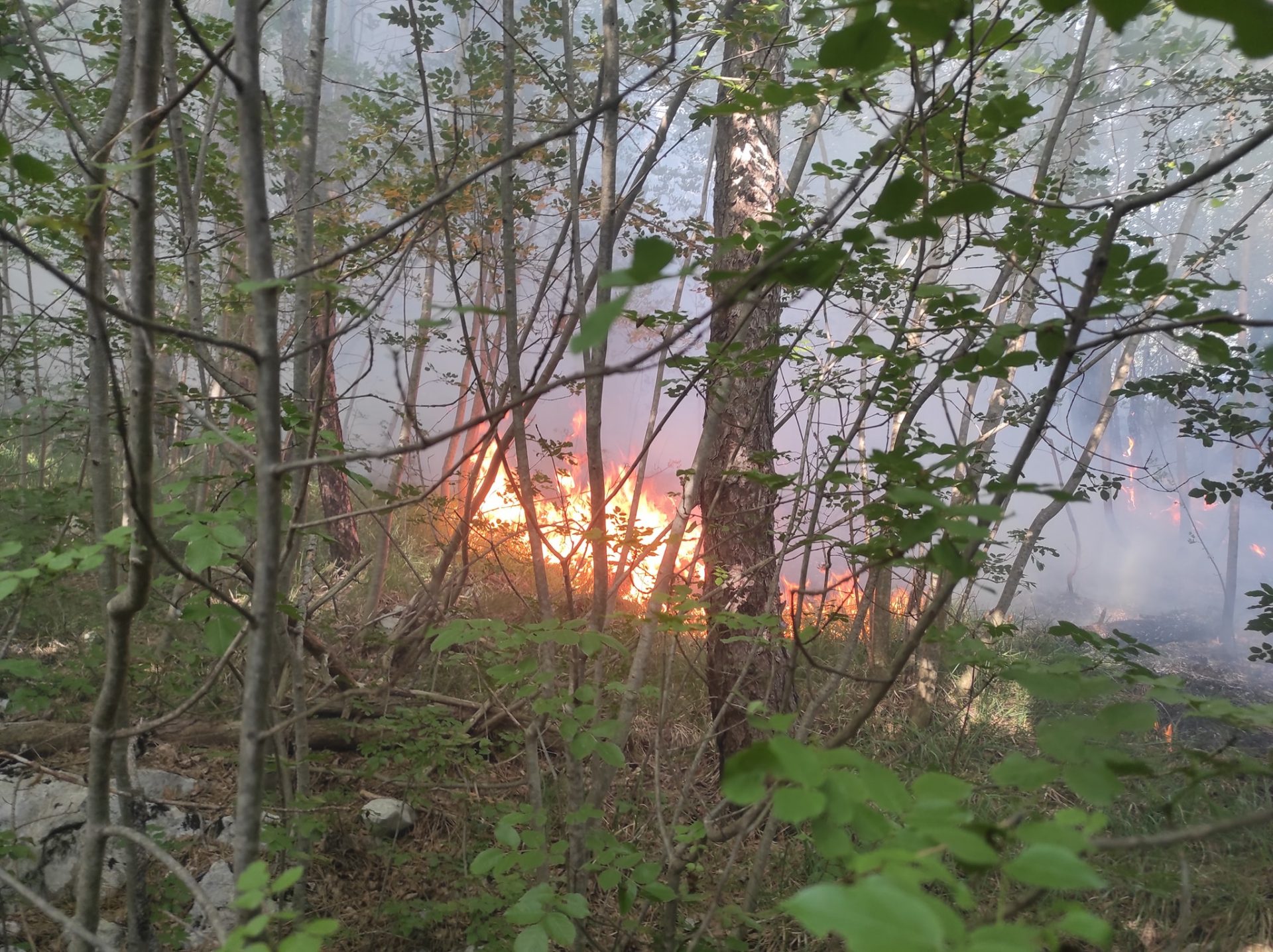 drenova vatrogasci lubanj 13