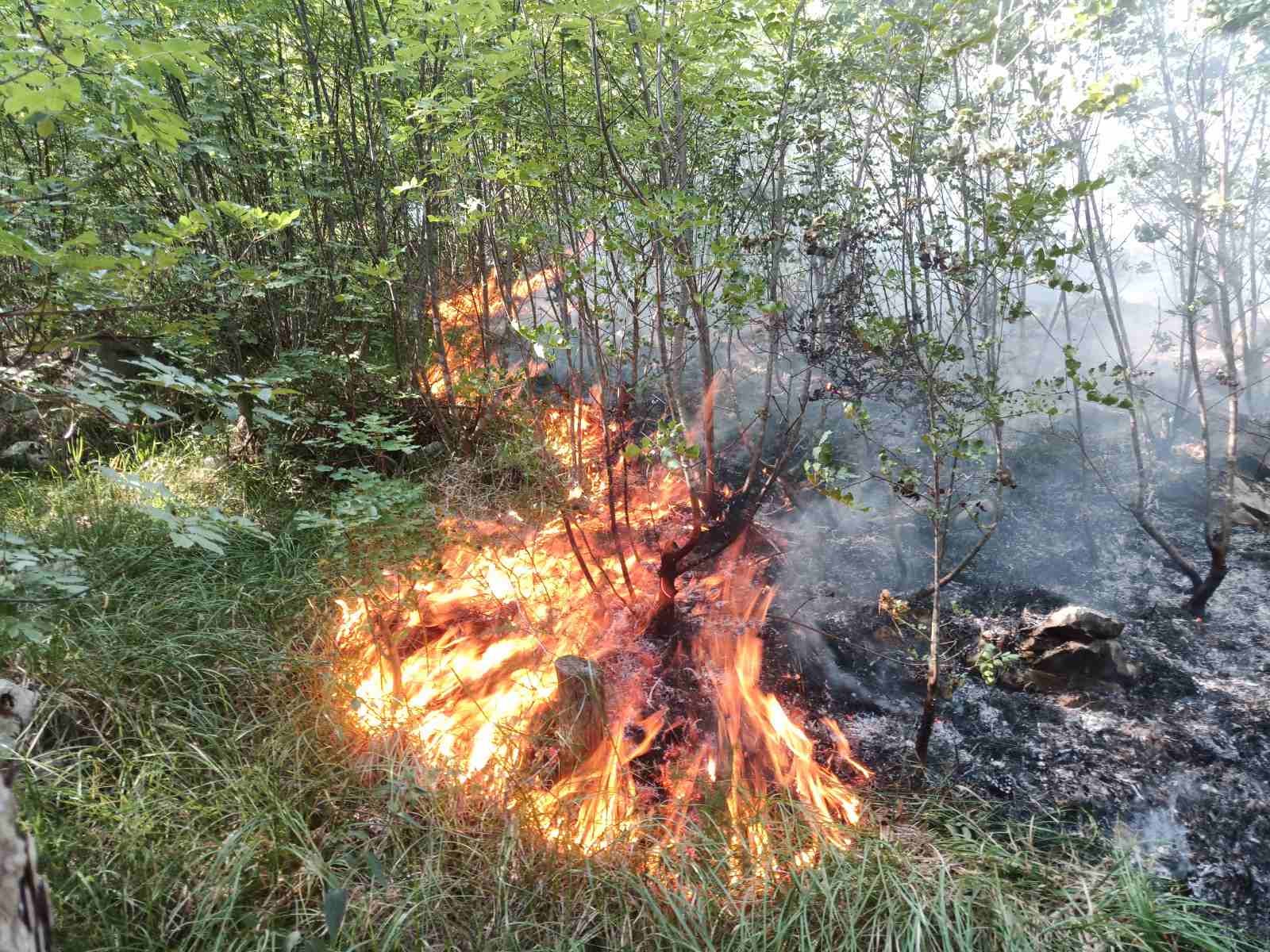 drenova vatrogasci lubanj 14