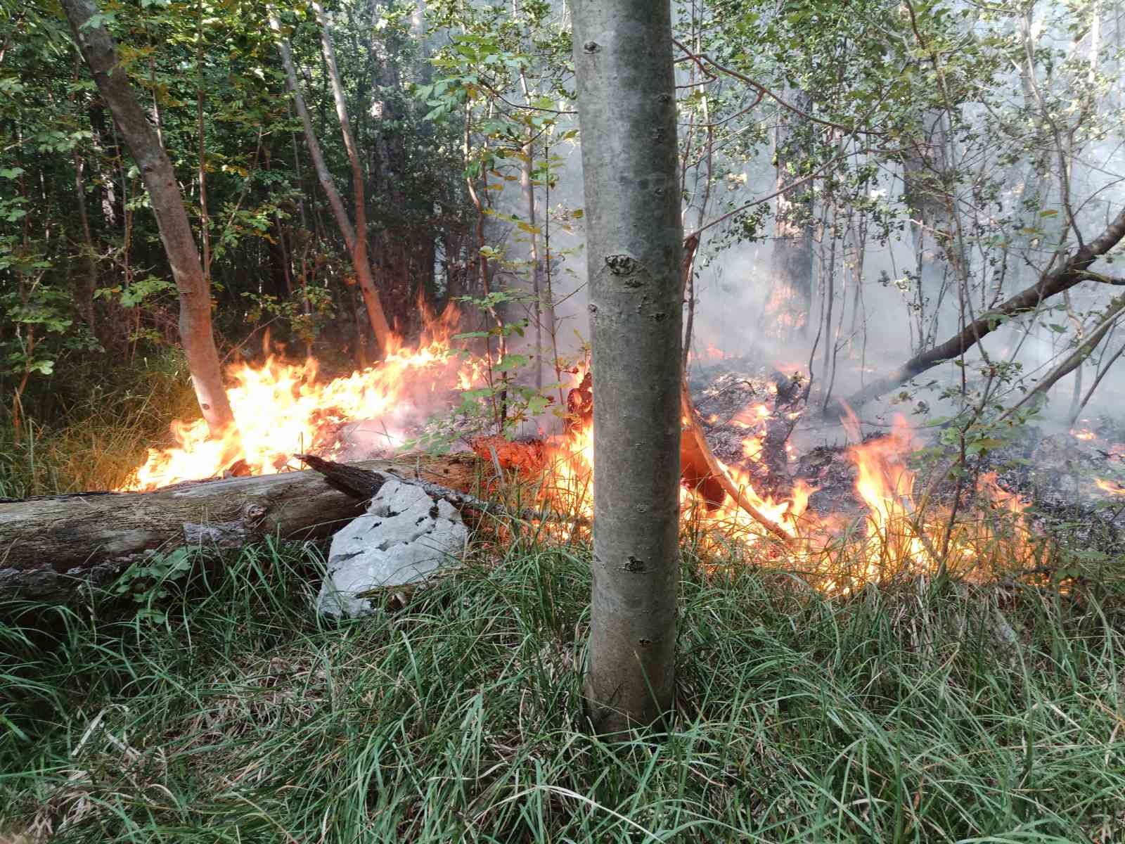 drenova vatrogasci lubanj 16