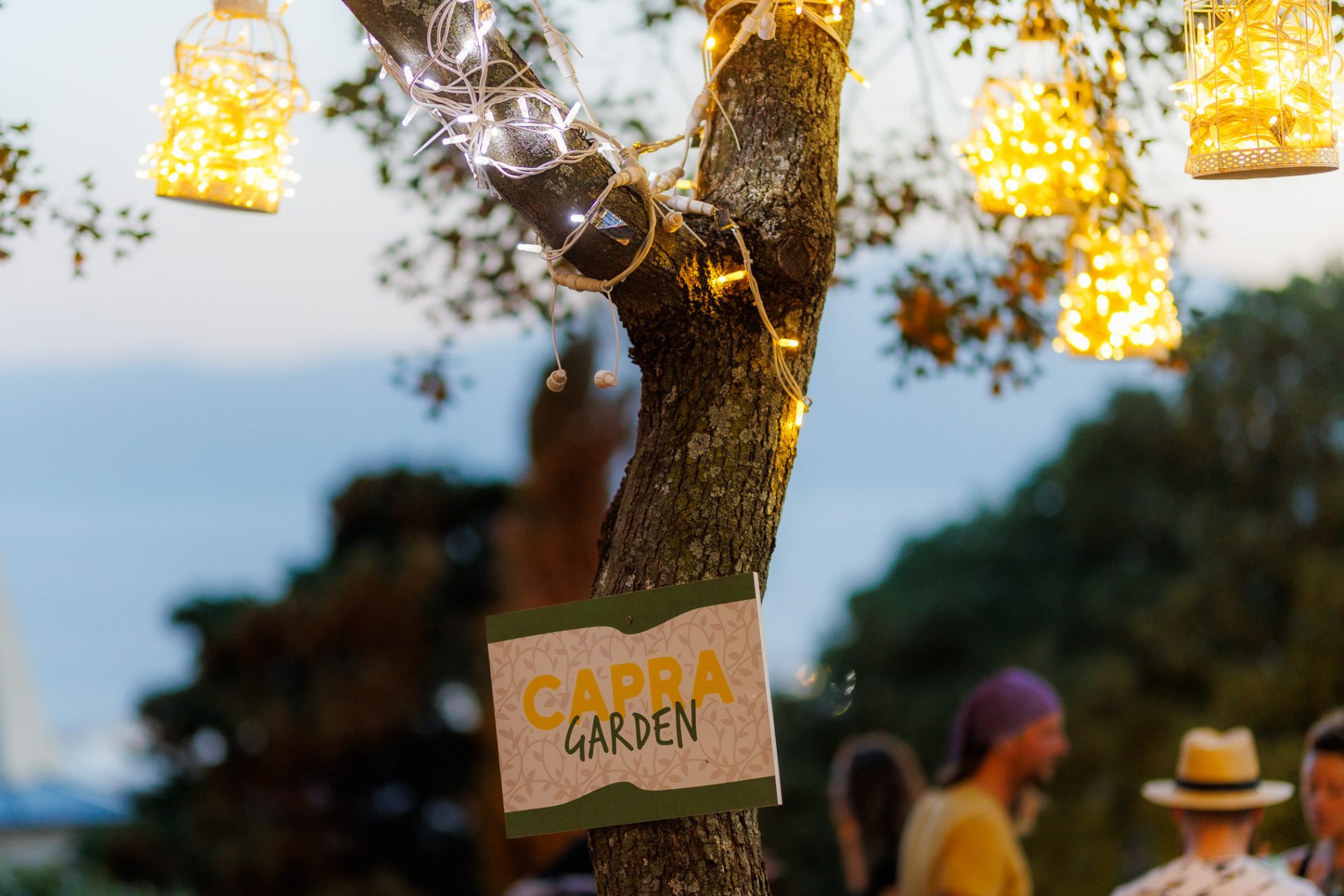 foord truck 2 5 foord truck 2 5