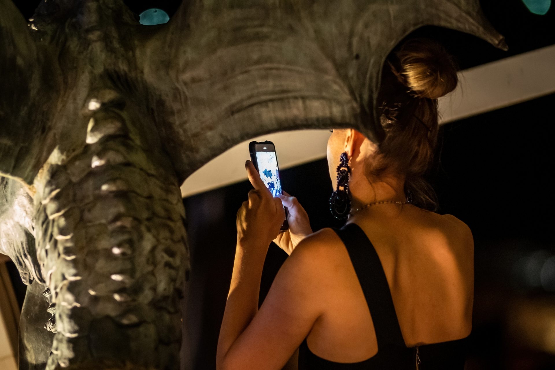 2022_07_03-23_16_27-00232_ILCE-7M3-low-light 2022_07_03-23_16_27-00232_ILCE-7M3-low-light