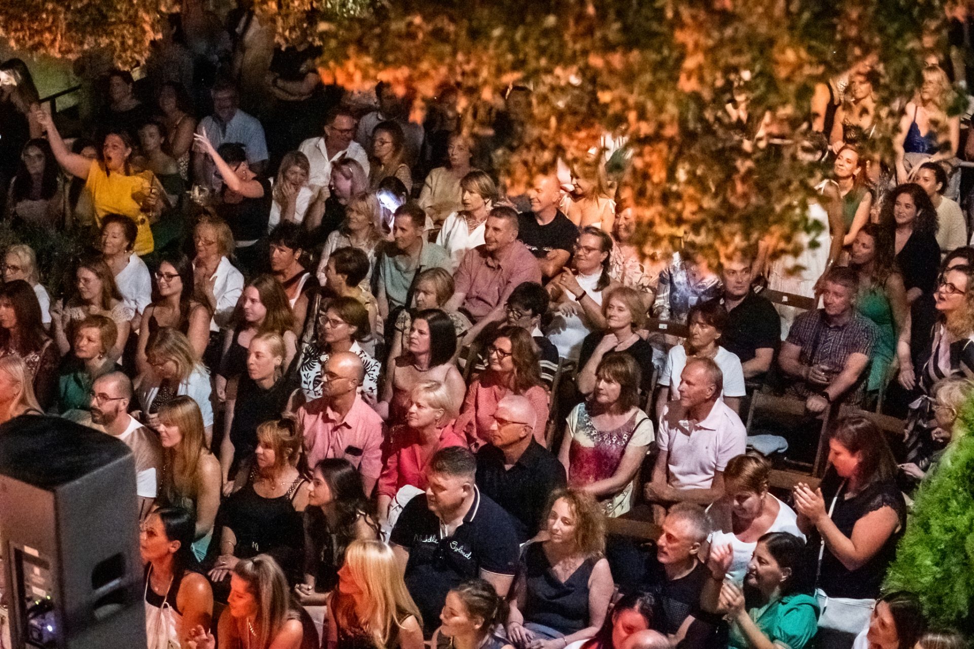 2022_07_13-22_54_16-00338_ILCE-7M3-low-light 2022_07_13-22_54_16-00338_ILCE-7M3-low-light