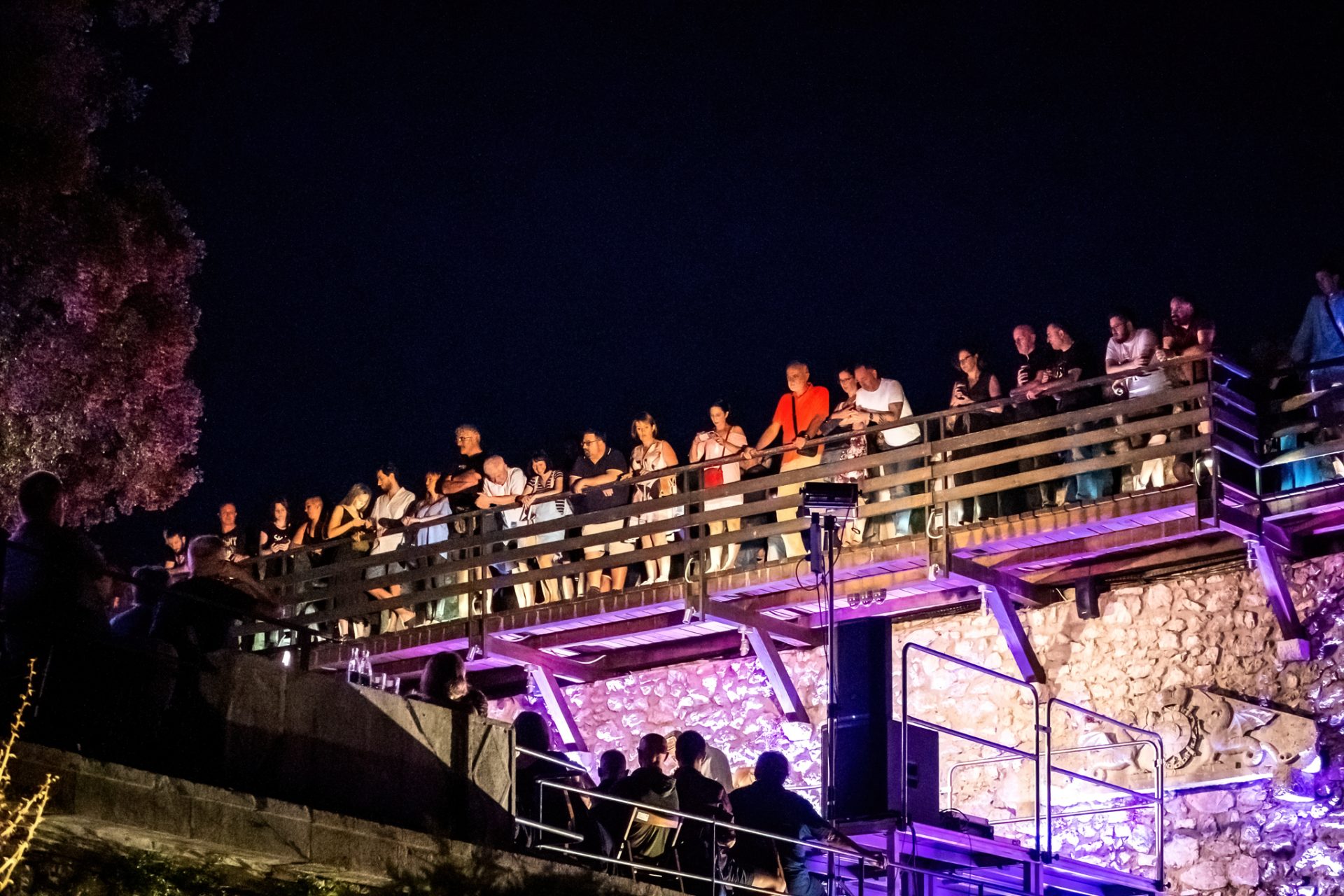 2022_07_21-21_46_55-00043_ILCE-7M3-low-light