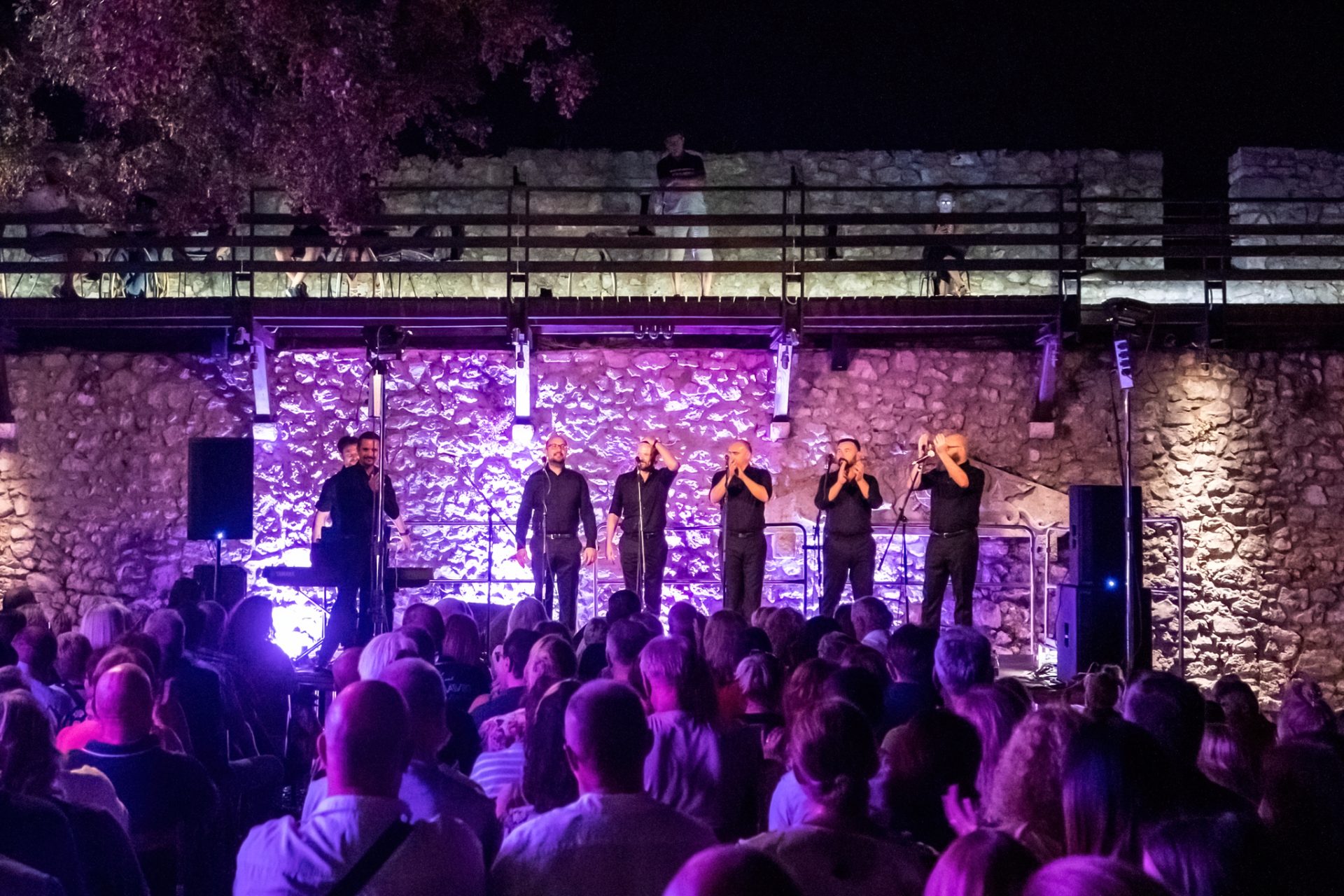 2022_07_29-23_01_43-00145_ILCE-7M3-low-light 2022_07_29-23_01_43-00145_ILCE-7M3-low-light