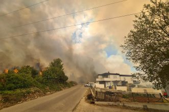 U naselju Valdebek u Puli ponovno je izbio veliki požar, gašenju su se pridružili i kanaderi