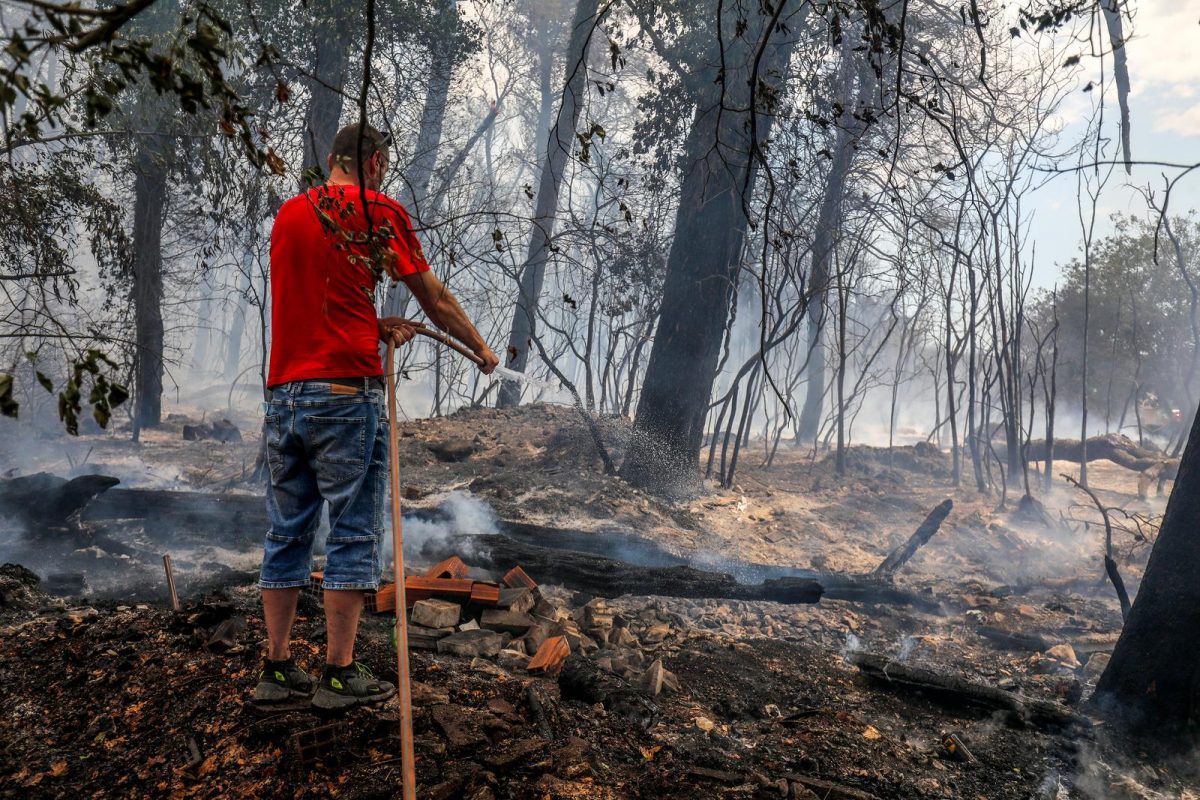 Pula: Hrabri stanovnici bore se s vatrom koja se približila njihovim domovima