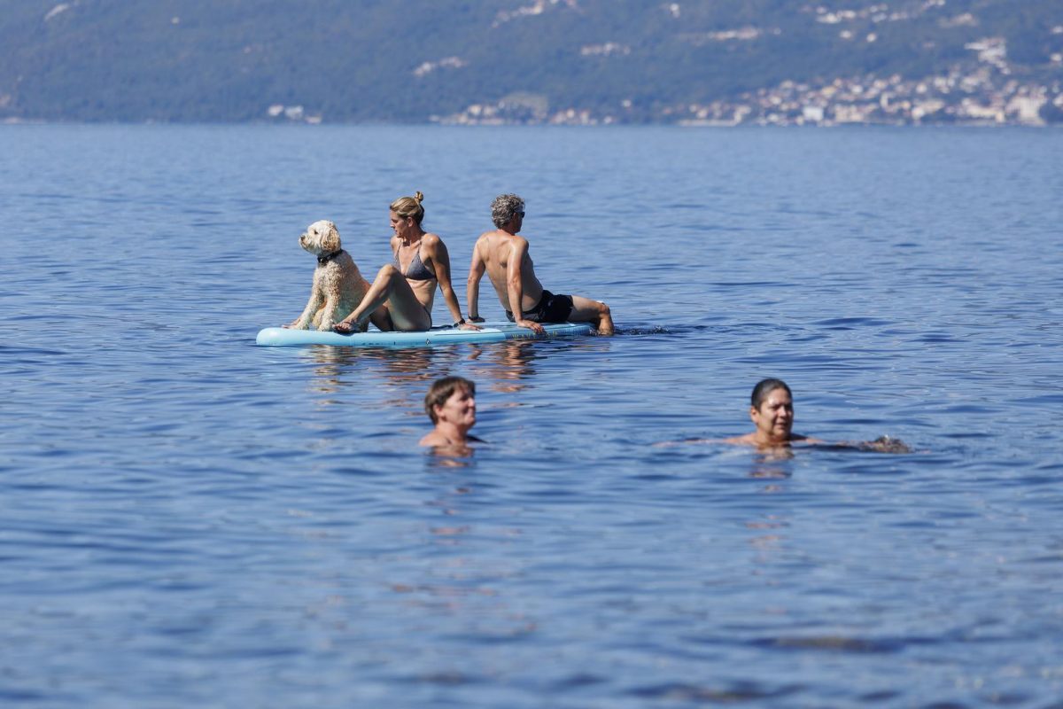 Rijeka: Psi beskrajno uživaju na psećoj plaži na Kantridi