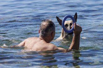 Rijeka: Psi beskrajno uživaju na psećoj plaži na Kantridi