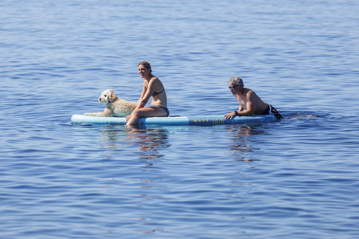 Rijeka: Psi beskrajno uživaju na psećoj plaži na Kantridi