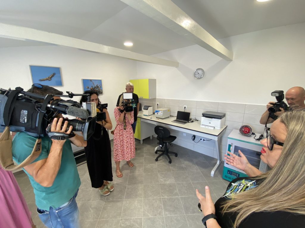 cres beli bjeloglavi sup (2) cres beli bjeloglavi sup (2)