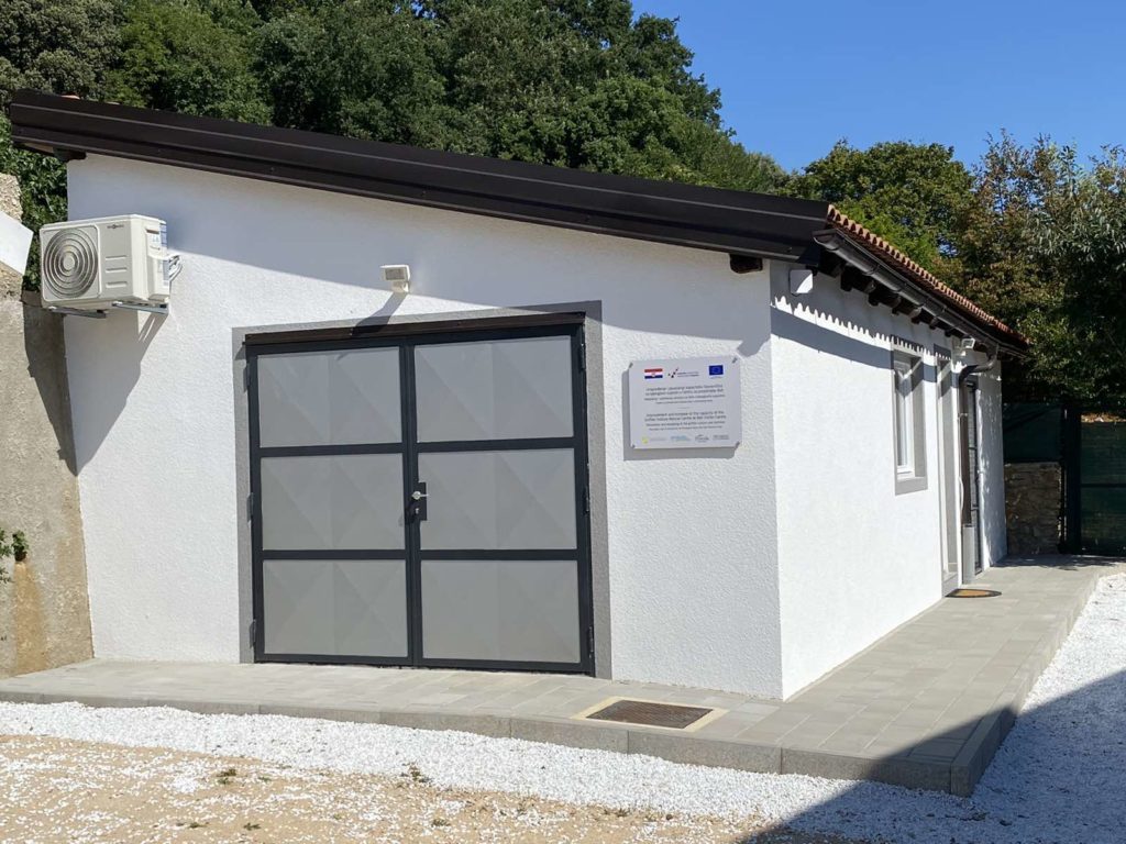 cres beli bjeloglavi sup (4) cres beli bjeloglavi sup (4)