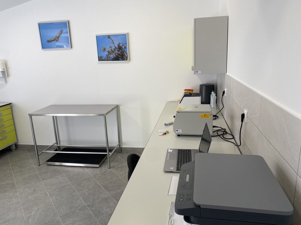 cres beli bjeloglavi sup (9) cres beli bjeloglavi sup (9)