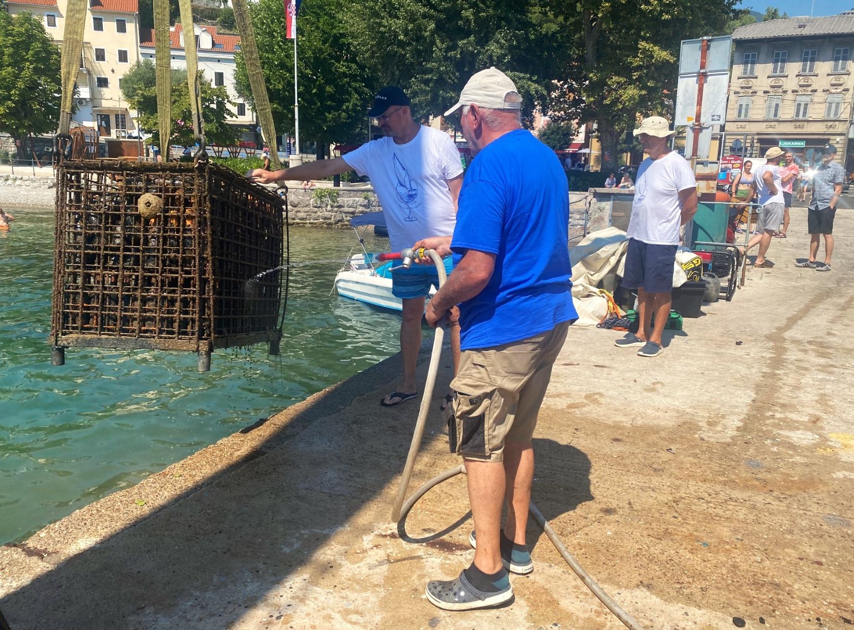 297098377_445912860776095_3340378261660326480_n 297098377_445912860776095_3340378261660326480_n