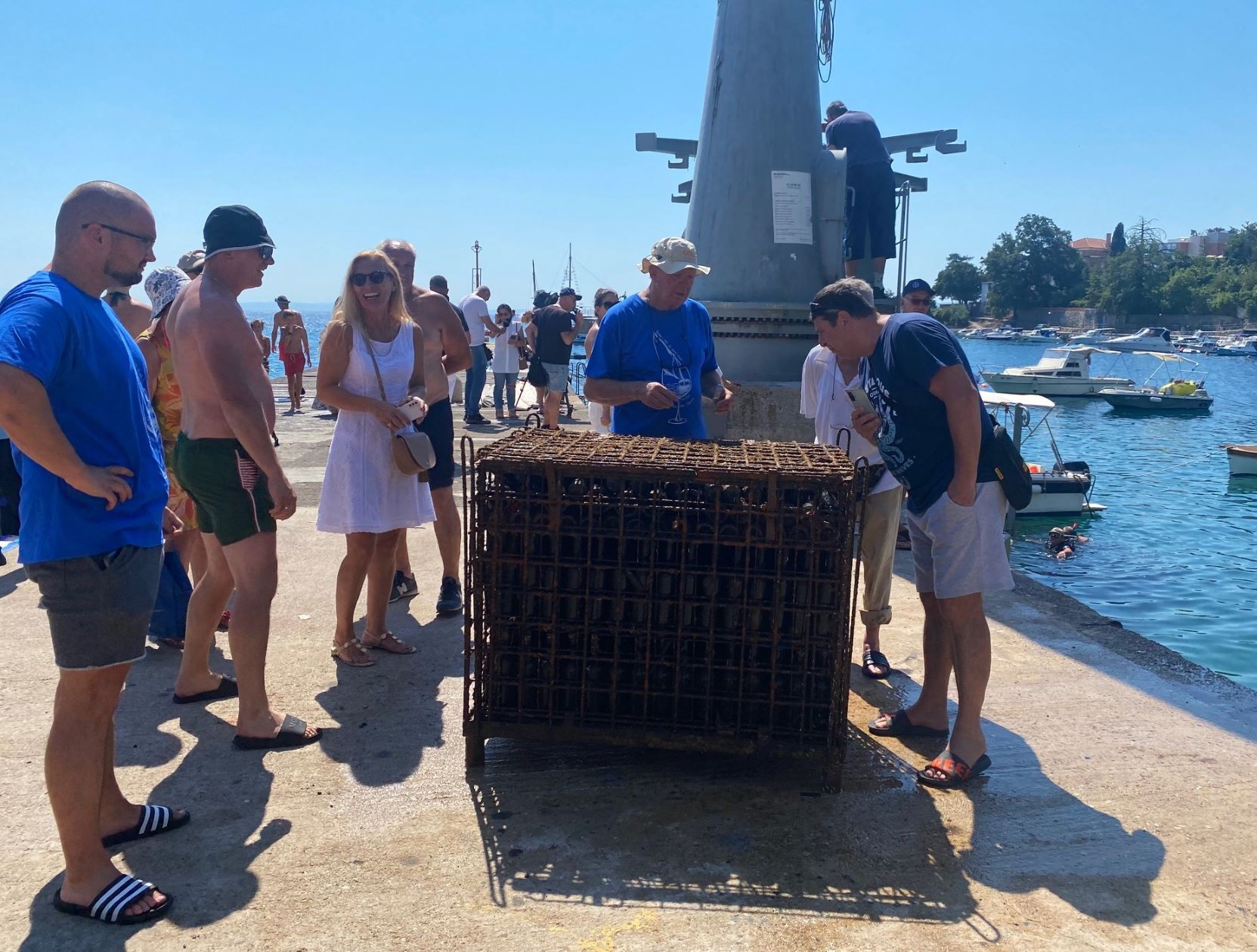 297859259_445913477442700_18836340713732296_n 297859259_445913477442700_18836340713732296_n