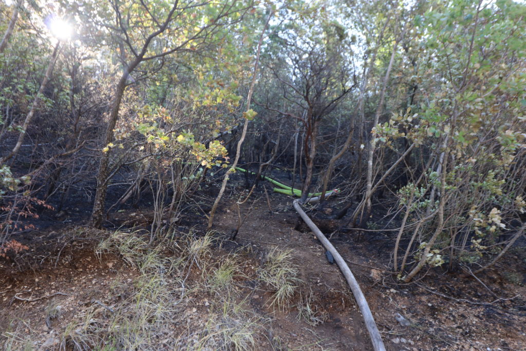 Crikvenica2 Crikvenica2