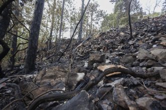 Vatrogasci uspješno ugasili požar na izlasku iz Crikvenice