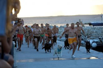 Crikvenica: 6. Underdog Marathon