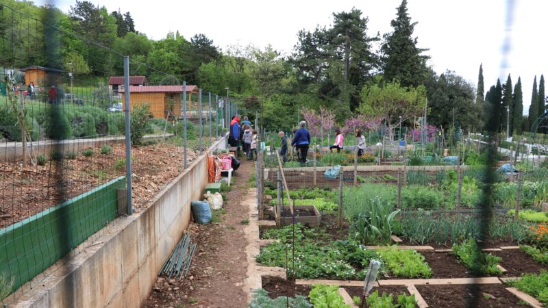 kostrena egoregija darivanje (1)