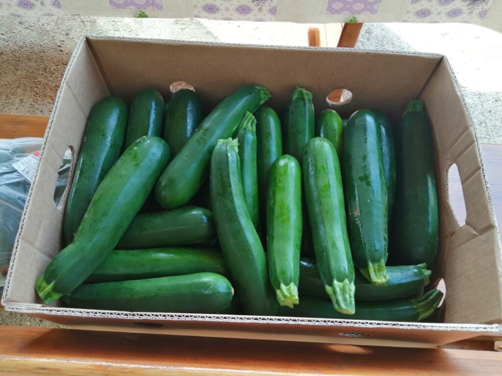 kostrena egoregija darivanje (6)