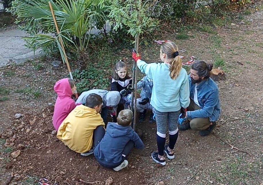 308623984_478140060886708_6579345031598414576_n 308623984_478140060886708_6579345031598414576_n