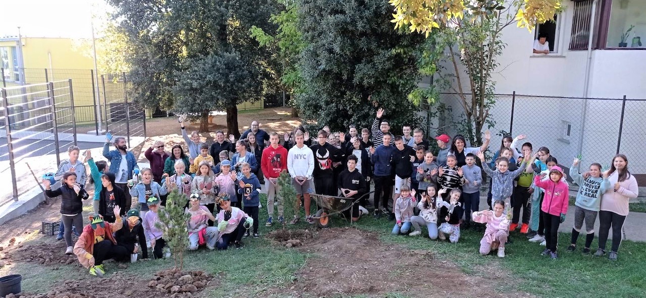 308662543_478139800886734_8006885635149424961_n 308662543_478139800886734_8006885635149424961_n