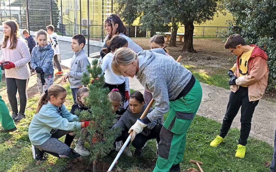 308747862_478139887553392_8006399658800263962_n 308747862_478139887553392_8006399658800263962_n