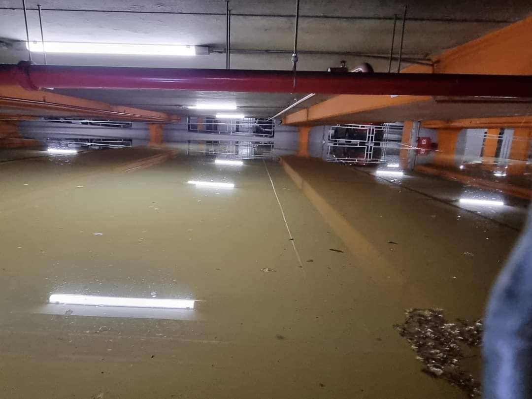 309568513_772408473984736_7264365194190897611_n 309568513_772408473984736_7264365194190897611_n