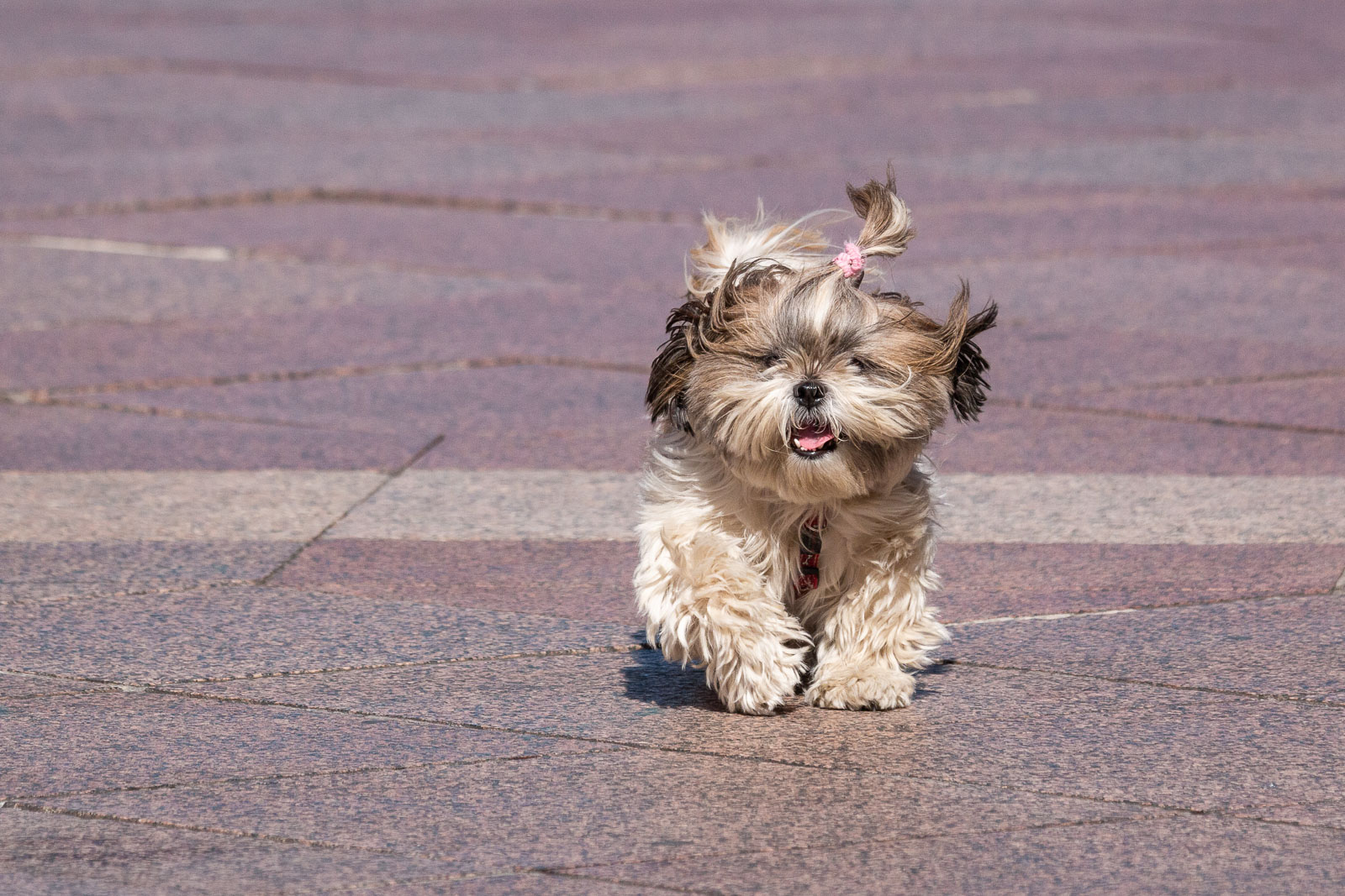 Klikom 2.9.-18 Klikom 2.9.-18